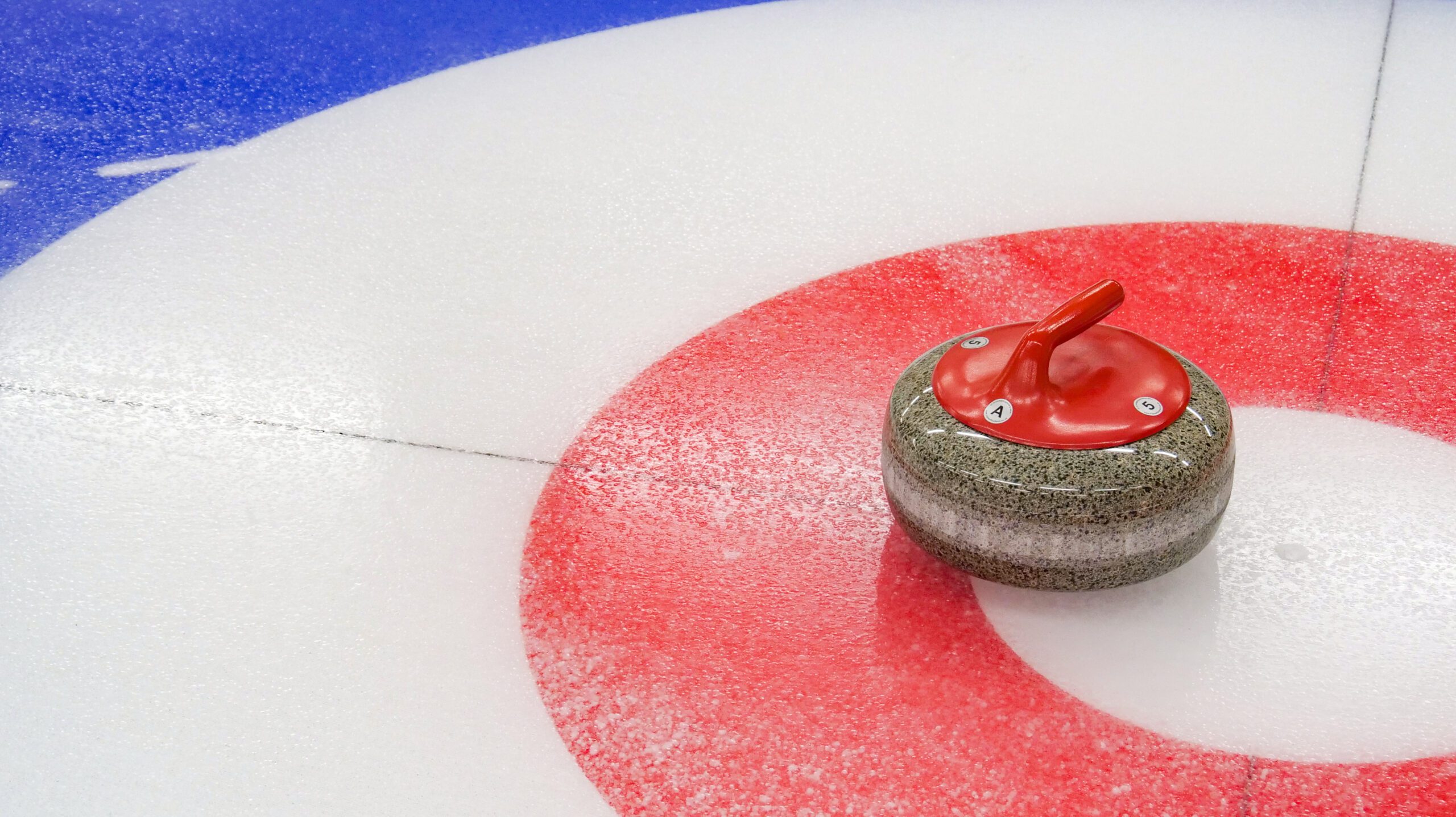 Close up of a curling target, with a curling stone in the centre