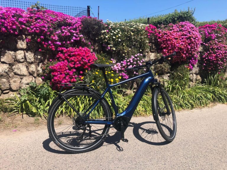 Under a clear blue sky, a navy blue e-bike is parked on the road, on its stand, in front of a stone wall covered in plants with pink flowers.
